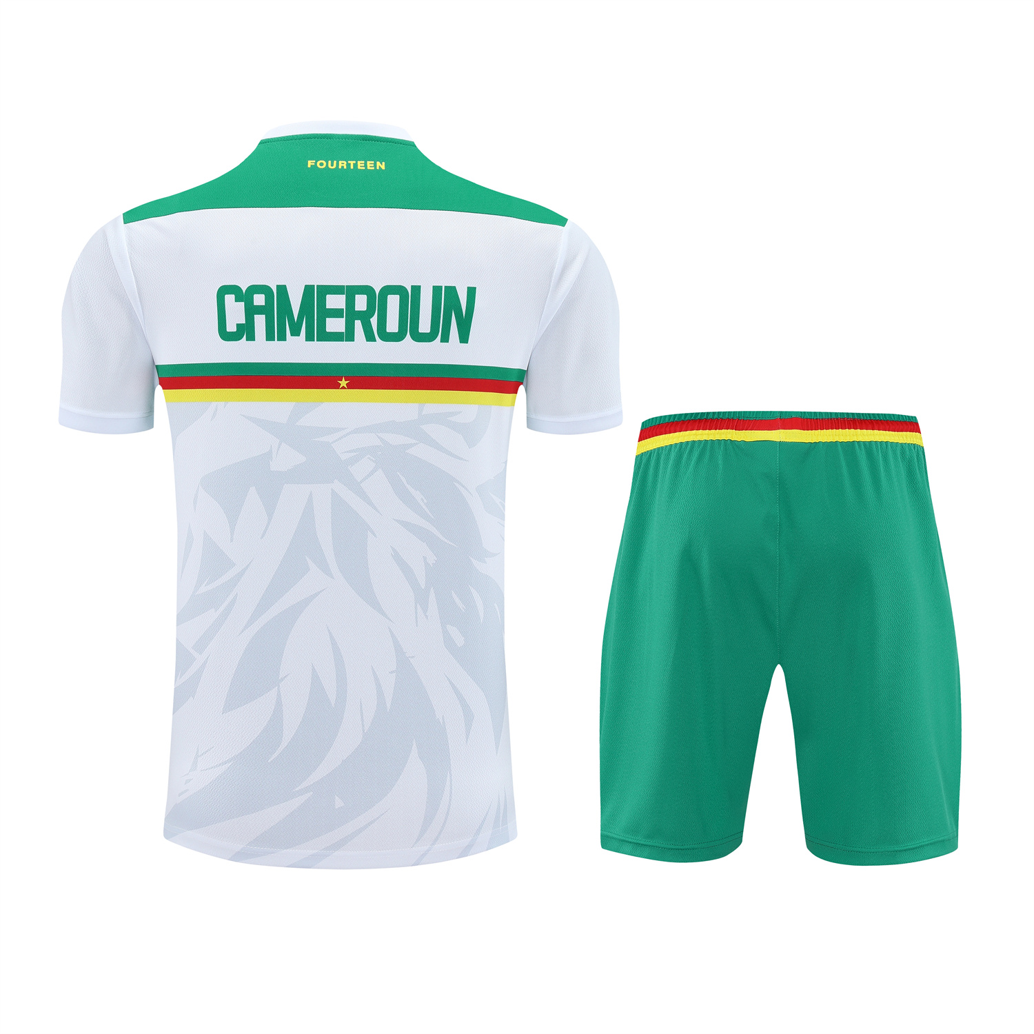 TKH-turbokithub-Cameroon 25-26 Short-Sleeve Training Set - White Top and Green Shorts