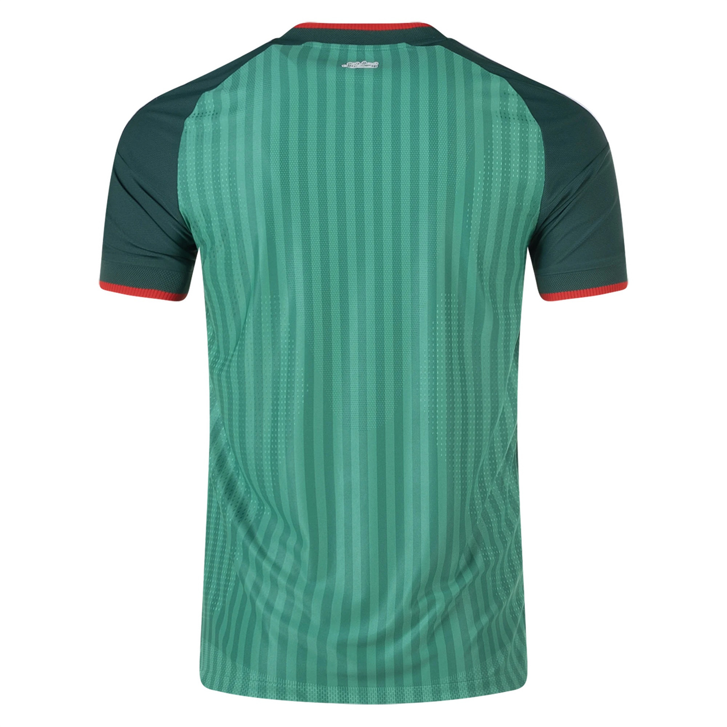 TKH-turbokithub-Algeria 2026 Away Green Jersey - Player Version