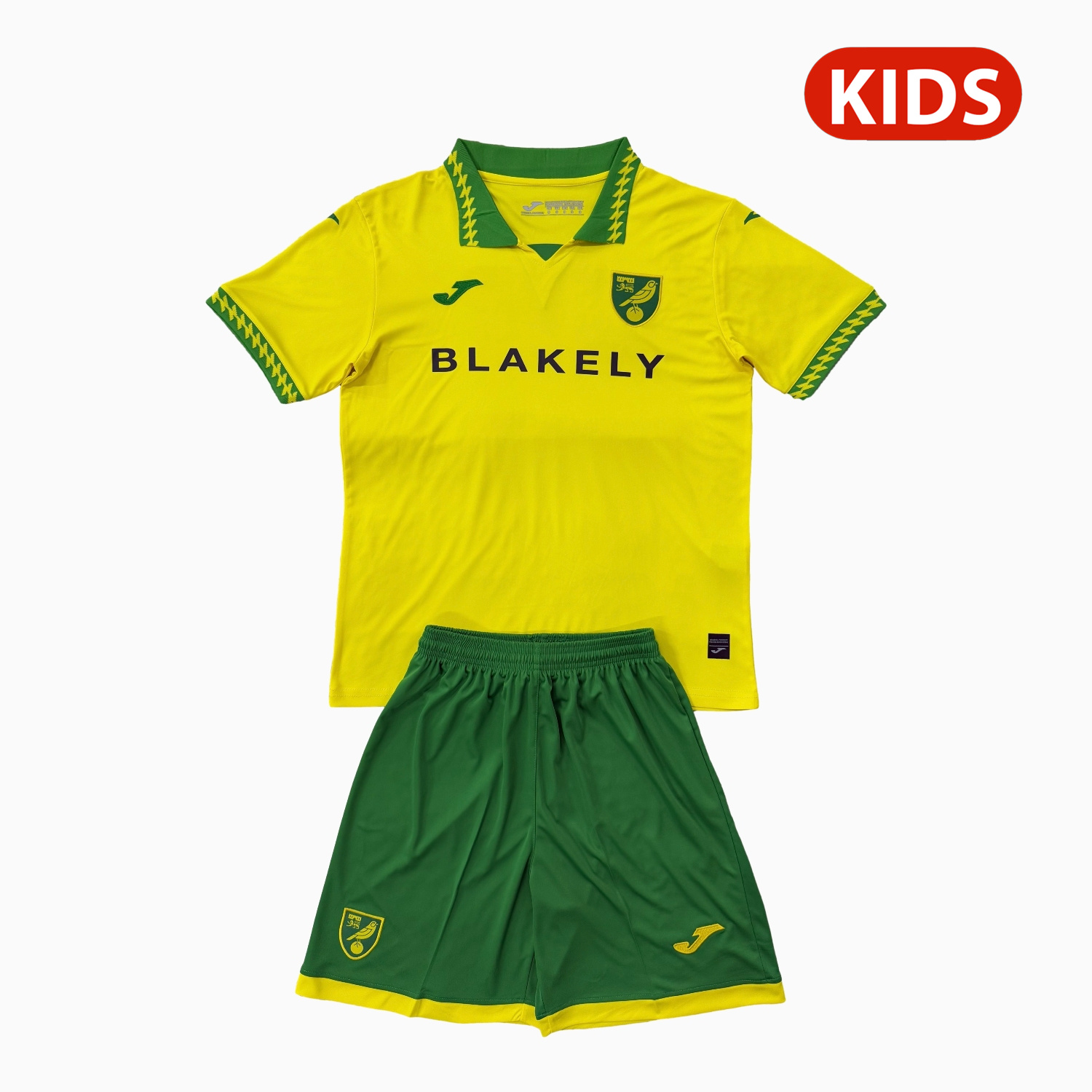TKH-turbokithub-Norwich City 25-26 Home Kids Kit