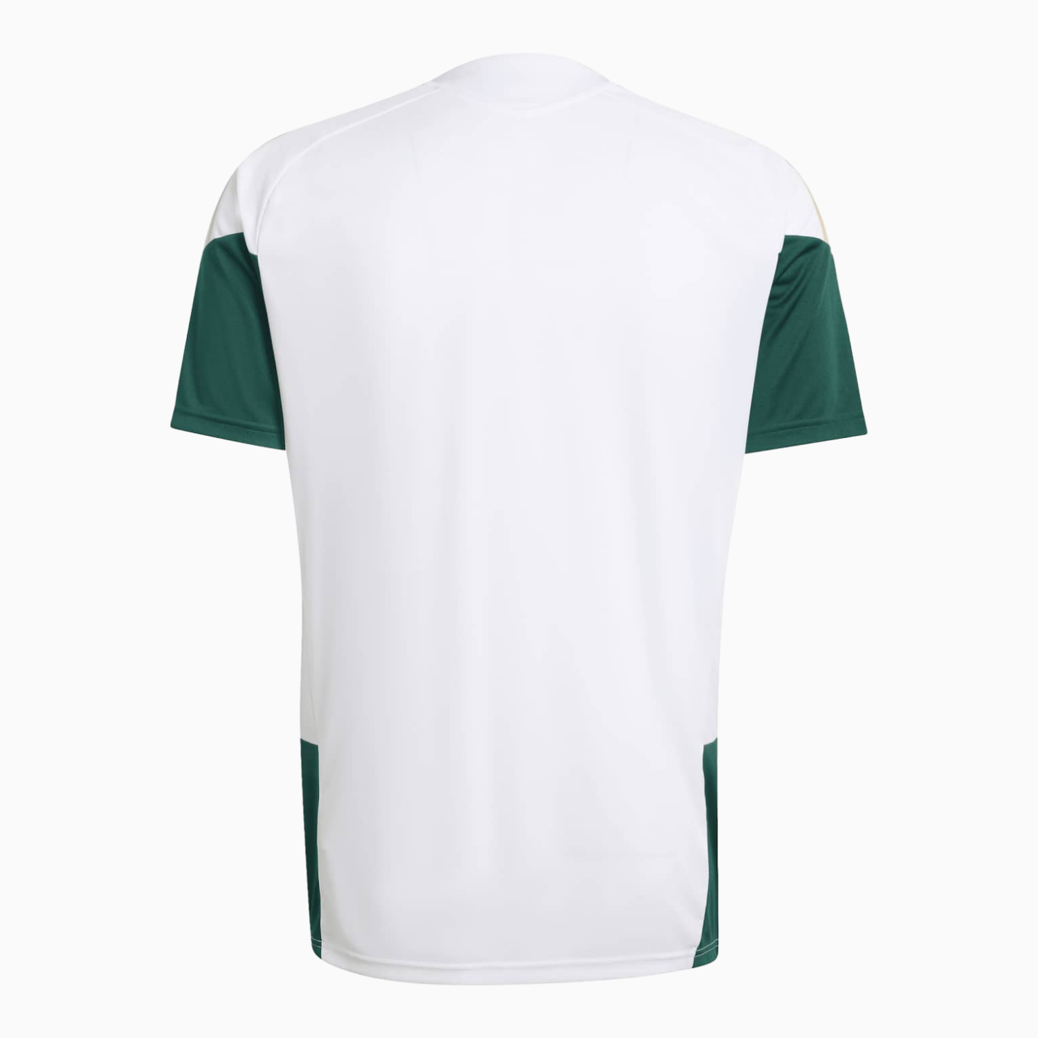 TKH-turbokithub-Italy 2026 White Pre-Match Training Jersey - Player Version