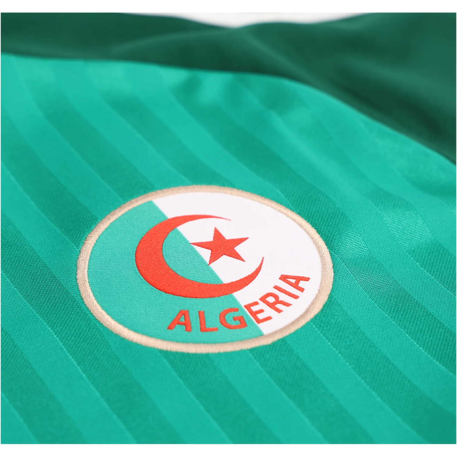 TKH-turbokithub-Algeria 2026 Away Green Jersey - Fans Version
