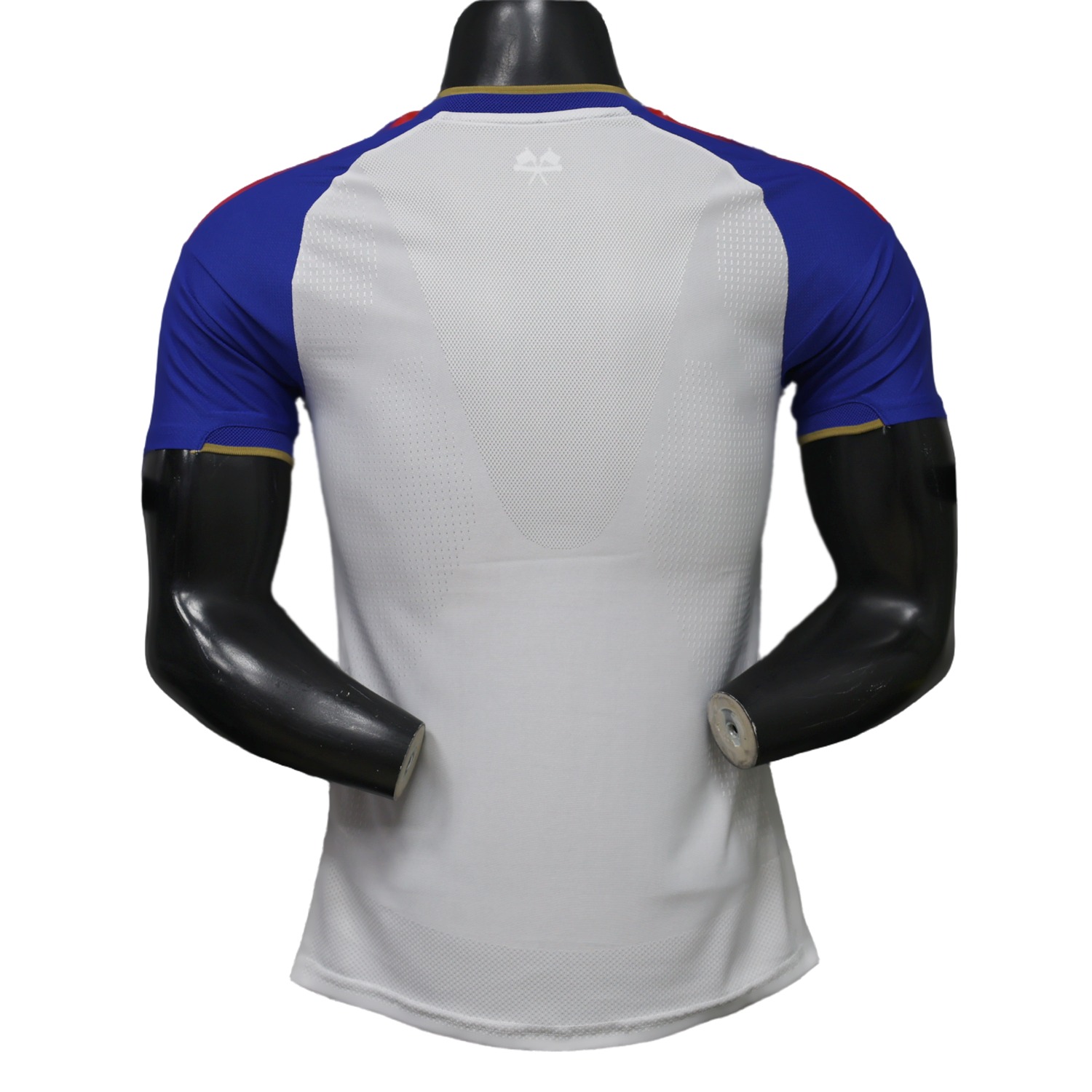 TKH-turbokithub-Lyon 26-27 Home Jersey - Player Version