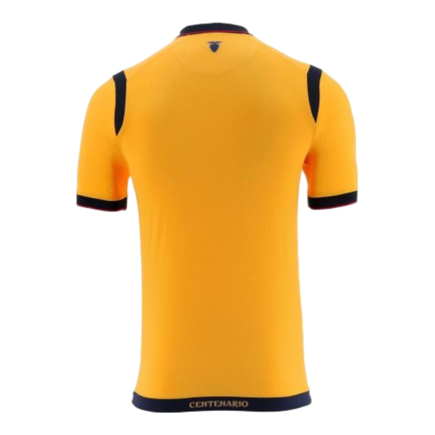 TKH-turbokithub-Ecuador 2025 Centenary Home Jersey - Fans Version