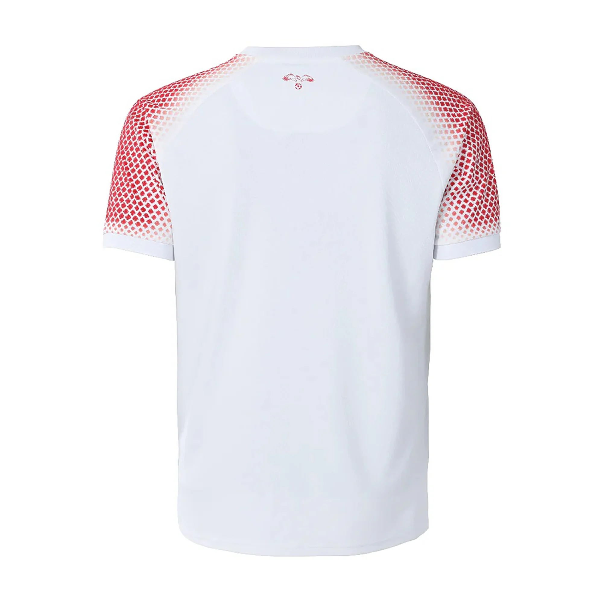 TKH-turbokithub-Jordan 2026 Home Jersey - Player Version