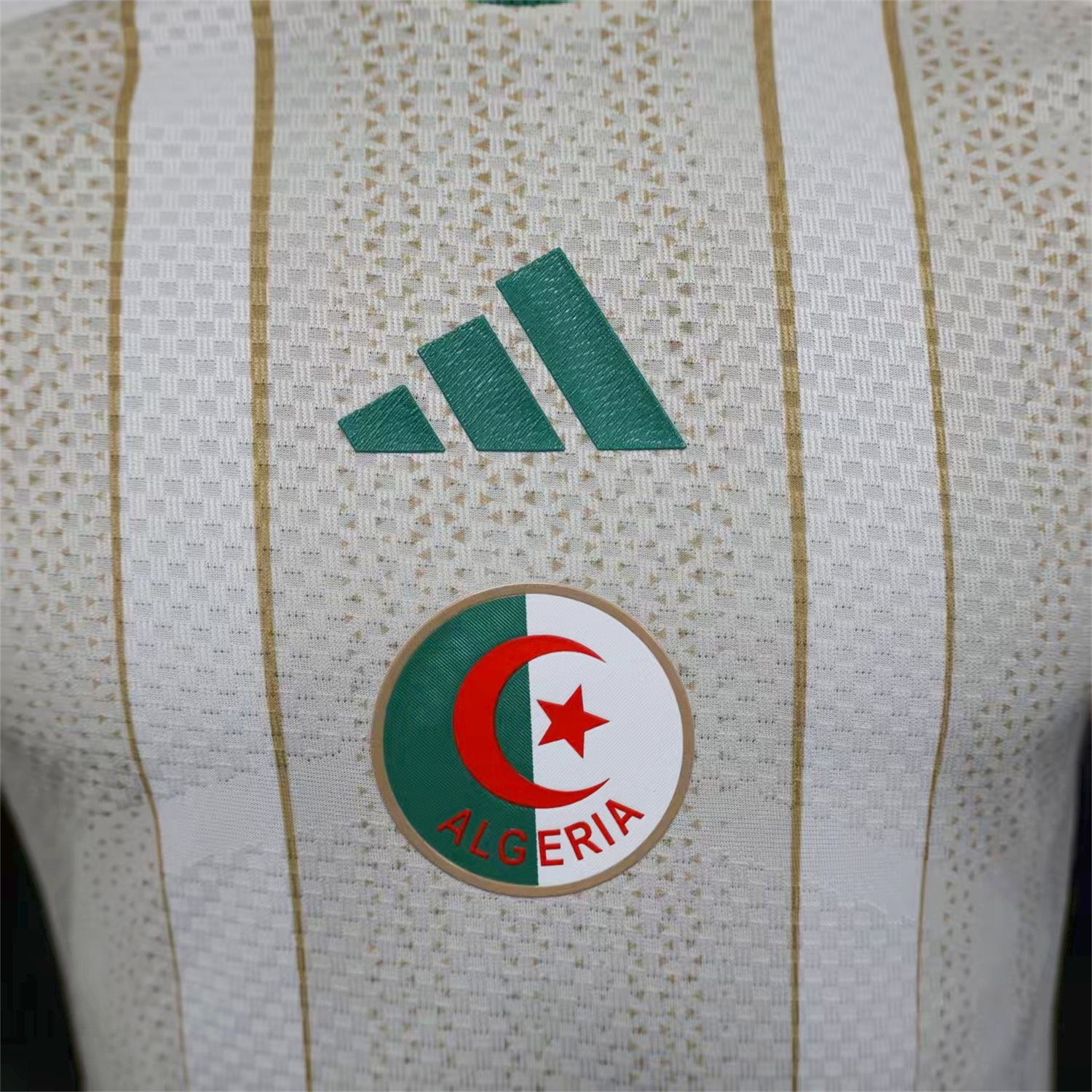 TKH-turbokithub-Algeria 2026 Home Jersey - Player Version