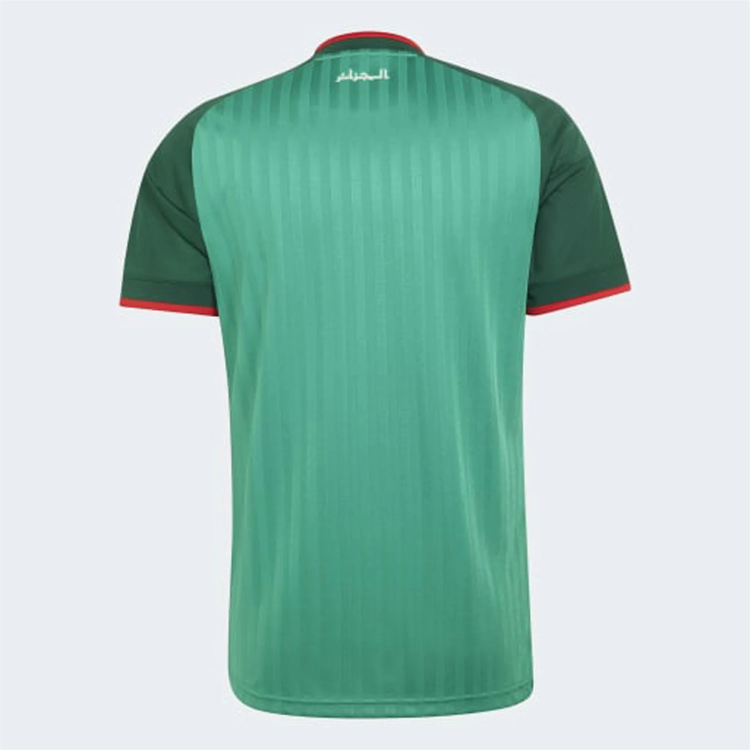 TKH-turbokithub-Algeria 2026 Away Green Jersey - Fans Version