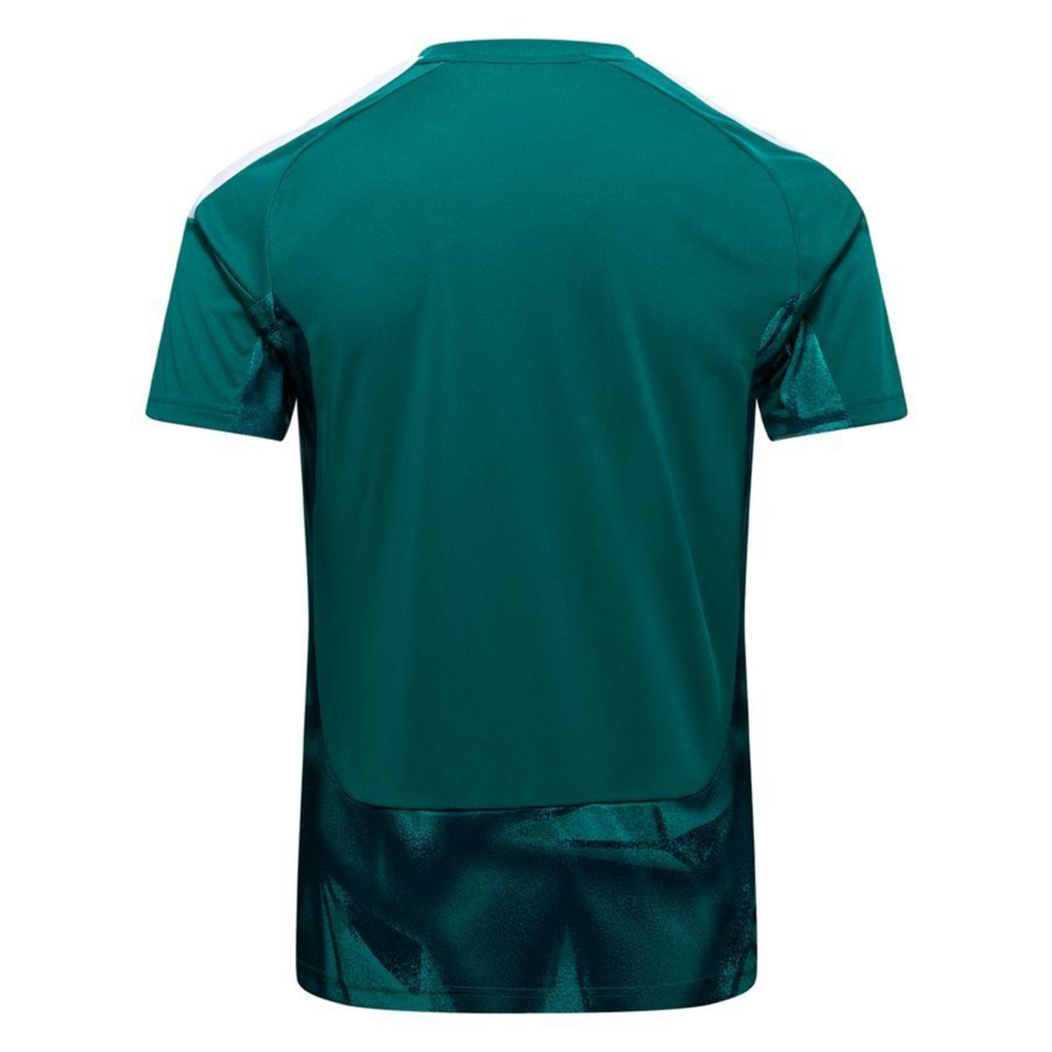 TKH-turbokithub-Germany 2026 Goalkeeper Green Jersey - Fans Version