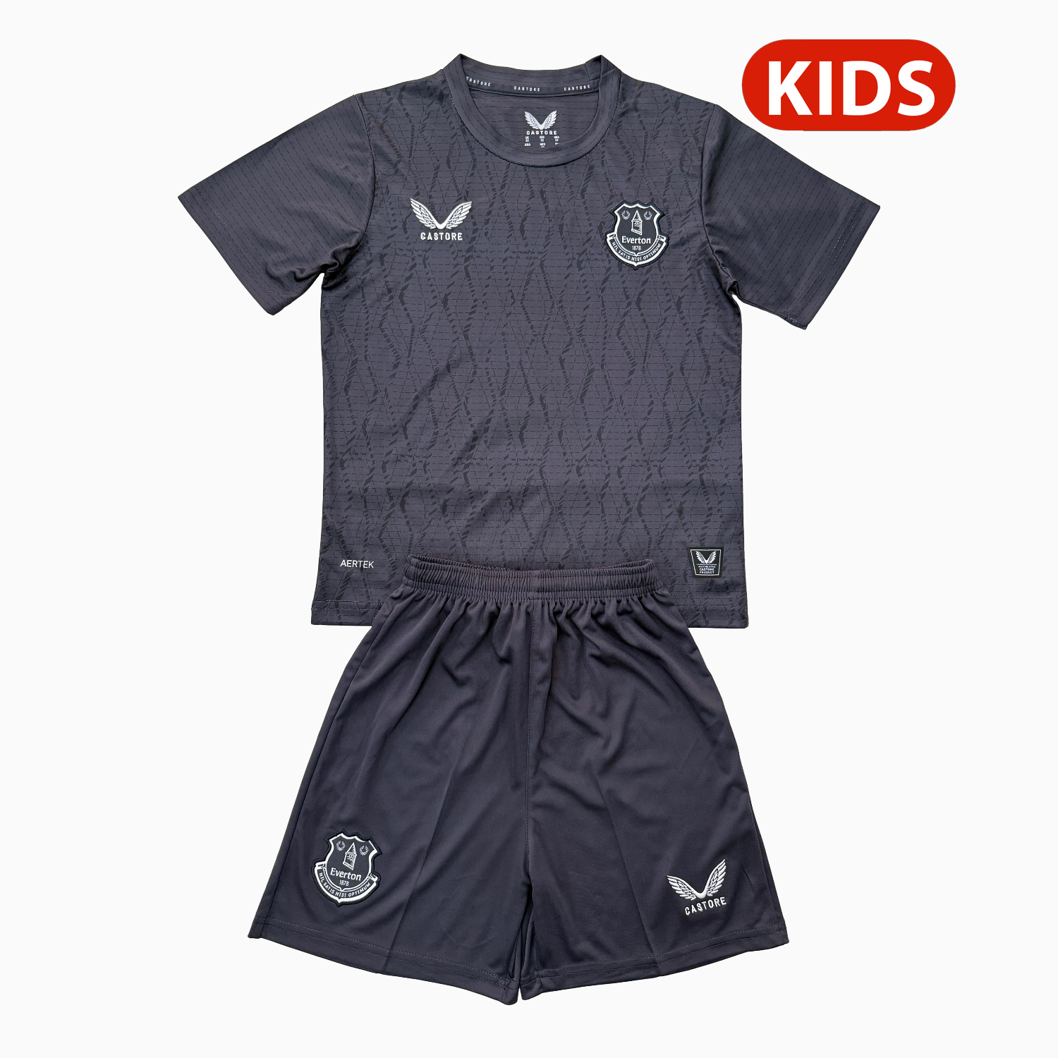 TKH-turbokithub-Everton 25-26 Gray Goalkeeper Kids Kit