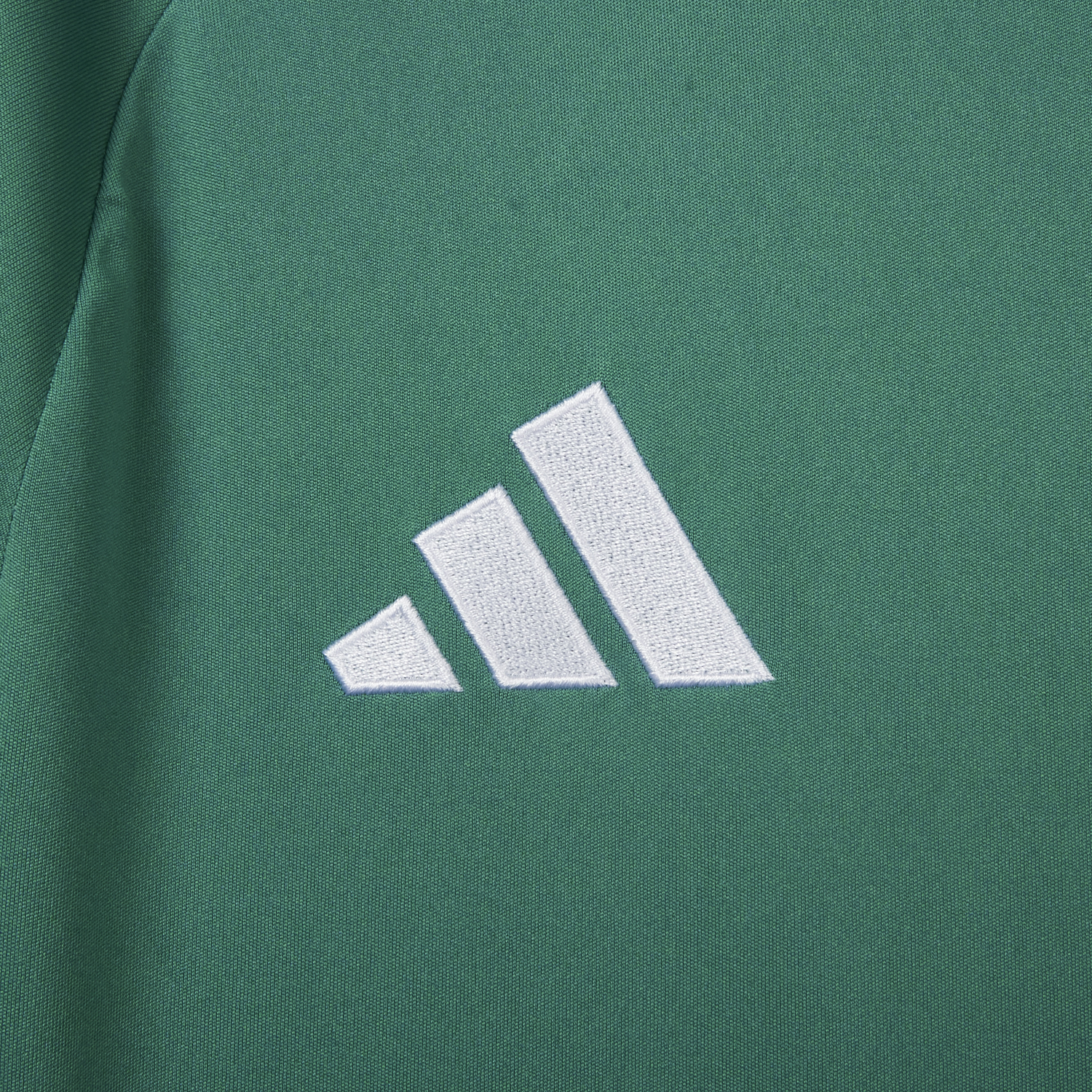 TKH-turbokithub-Germany 2026 Goalkeeper Green Jersey - Fans Version