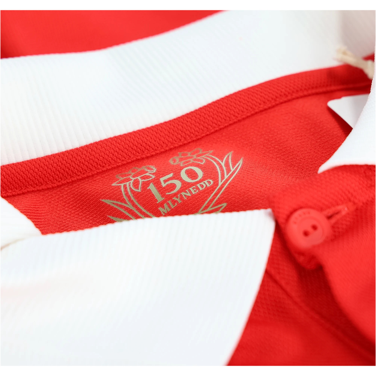 TKH-turbokithub-Wales 2026 150th Anniversary Edition Long Sleeves Jersey - Fans Version