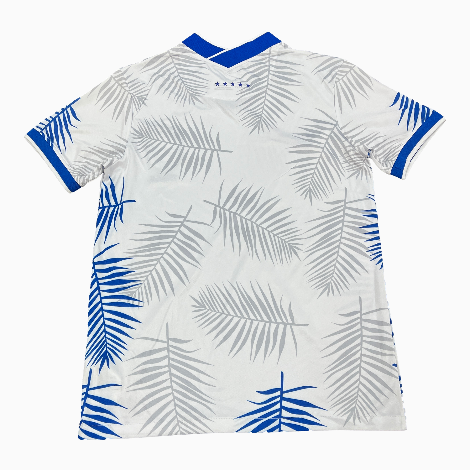 TKH-turbokithub-Brazil 25-26 Blue And Grey Leaves White Jersey - Fans Version