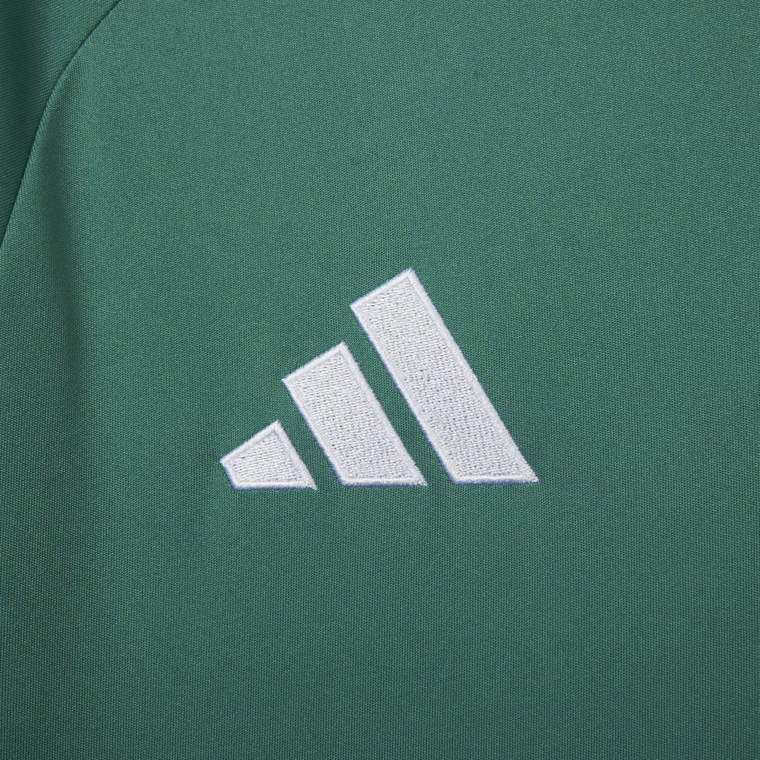 TKH-turbokithub-Germany 2026 Goalkeeper Green Long Sleeves Jersey - Fans Version